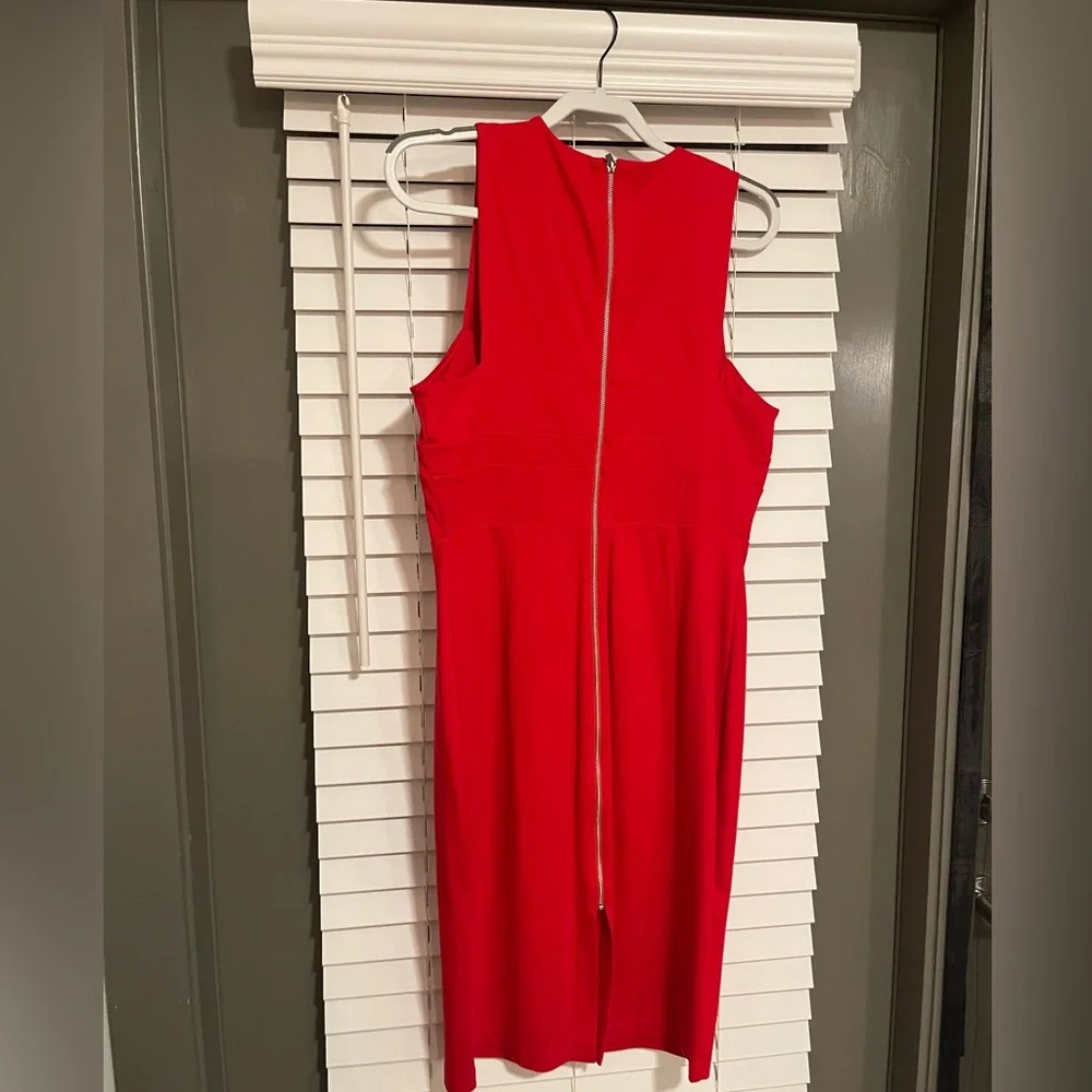 Express Dress - Picture 4 of 9
